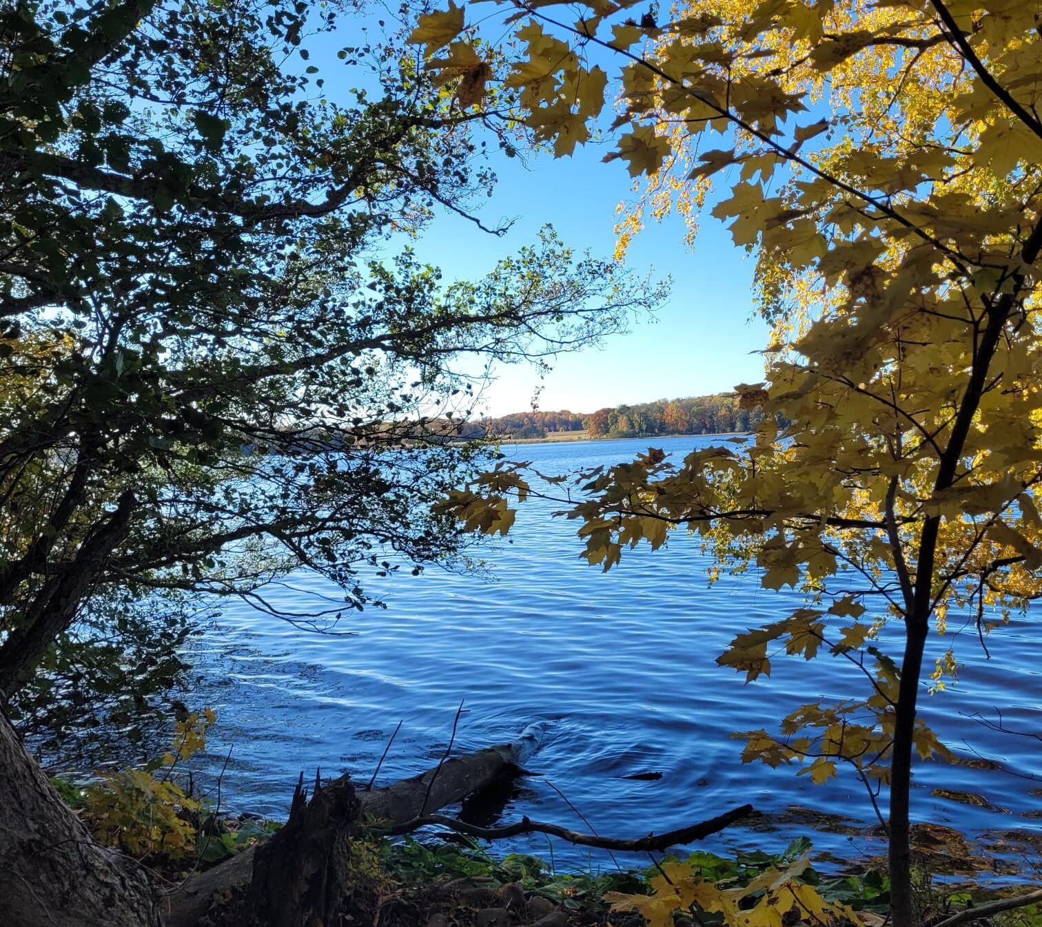 Bild från Sandviksåsens naturreservat i Håbo
