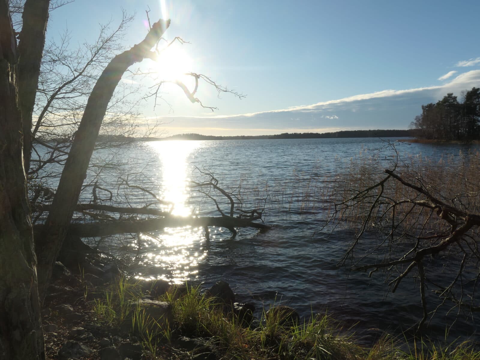 Foto ut över vattnet vid Ådö-Lagnö naturreservat