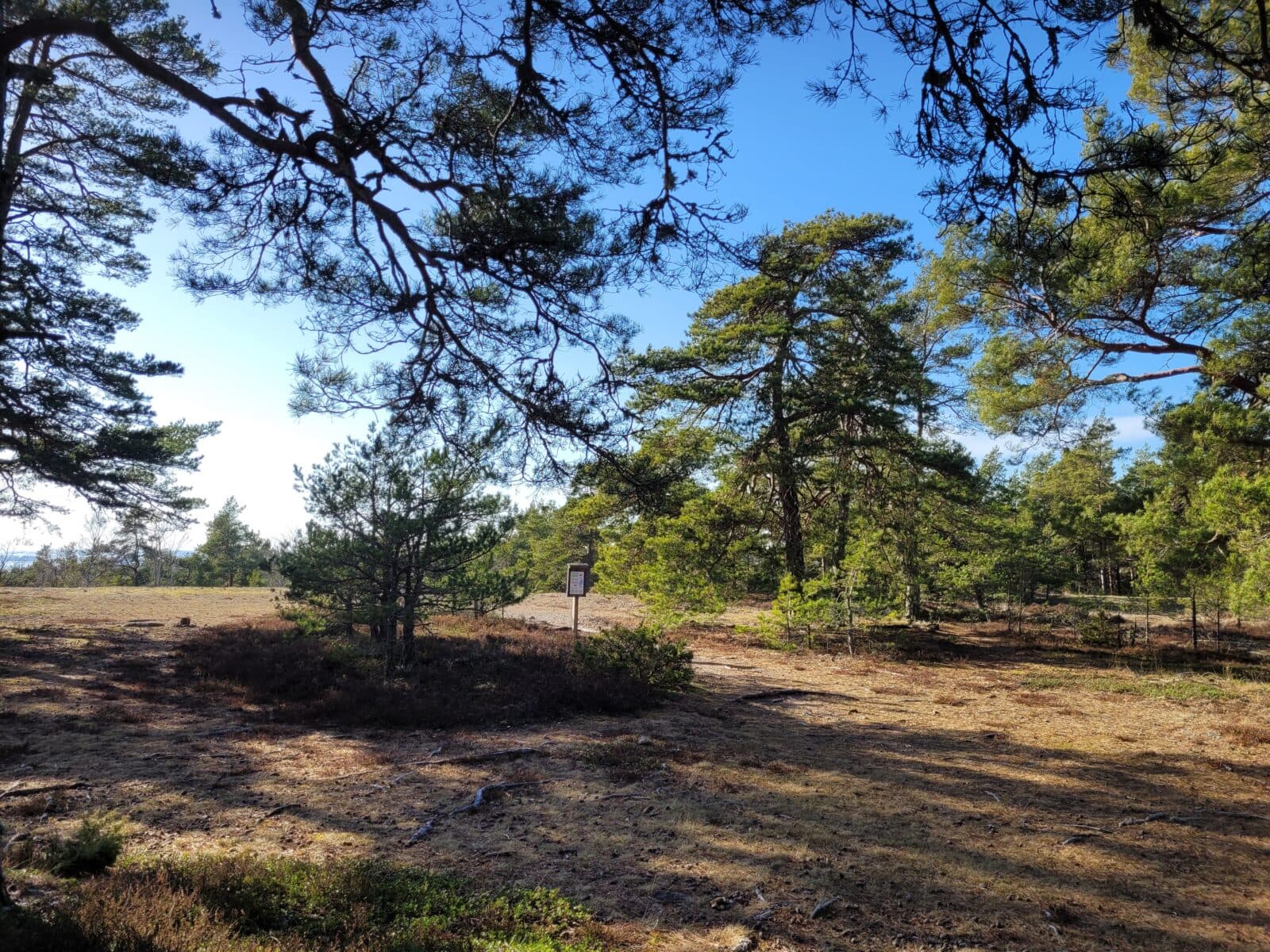 Bild på slutet av processionsvägen vid Rösaringsåsen