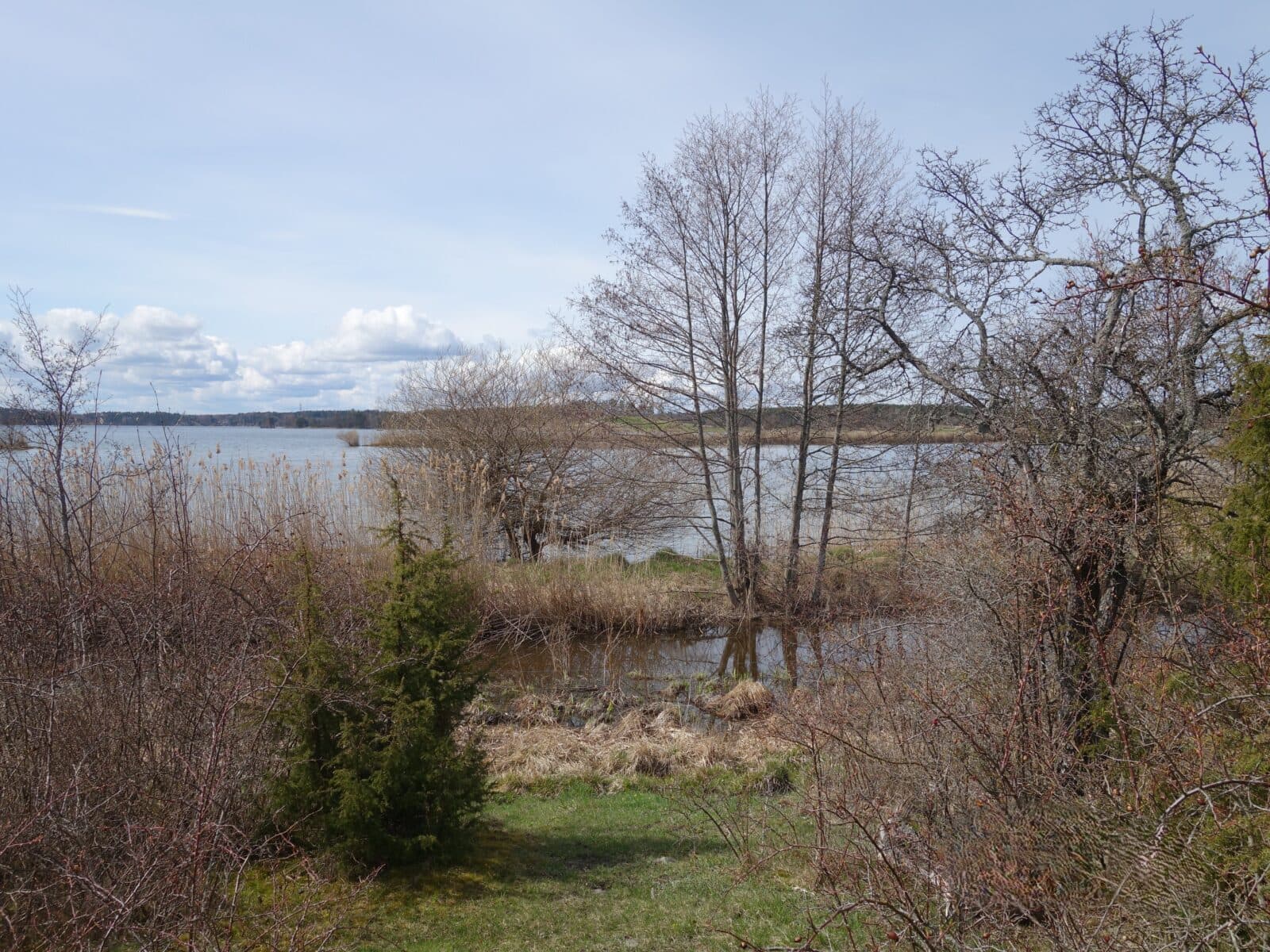 Broängarnas naturreservat