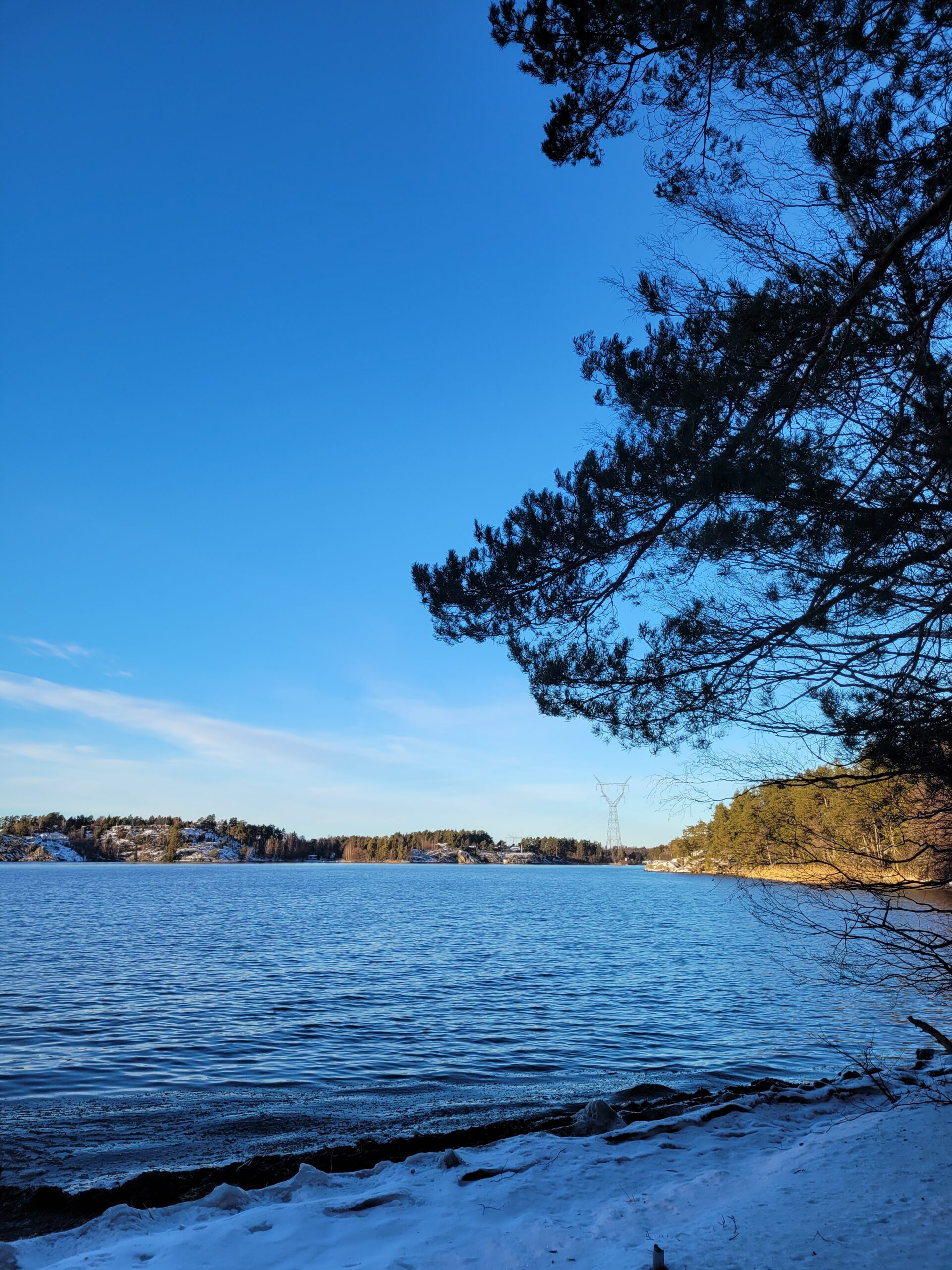 Naturtips – Vollsvik vid Rösarings naturreservat