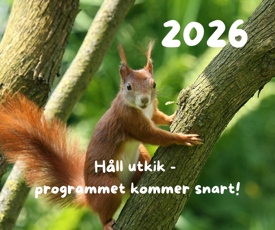 Nästkommande aktivitet: