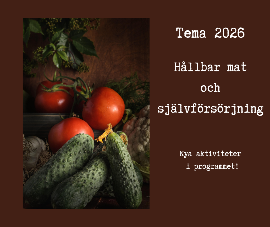 Nästkommande aktivitet: